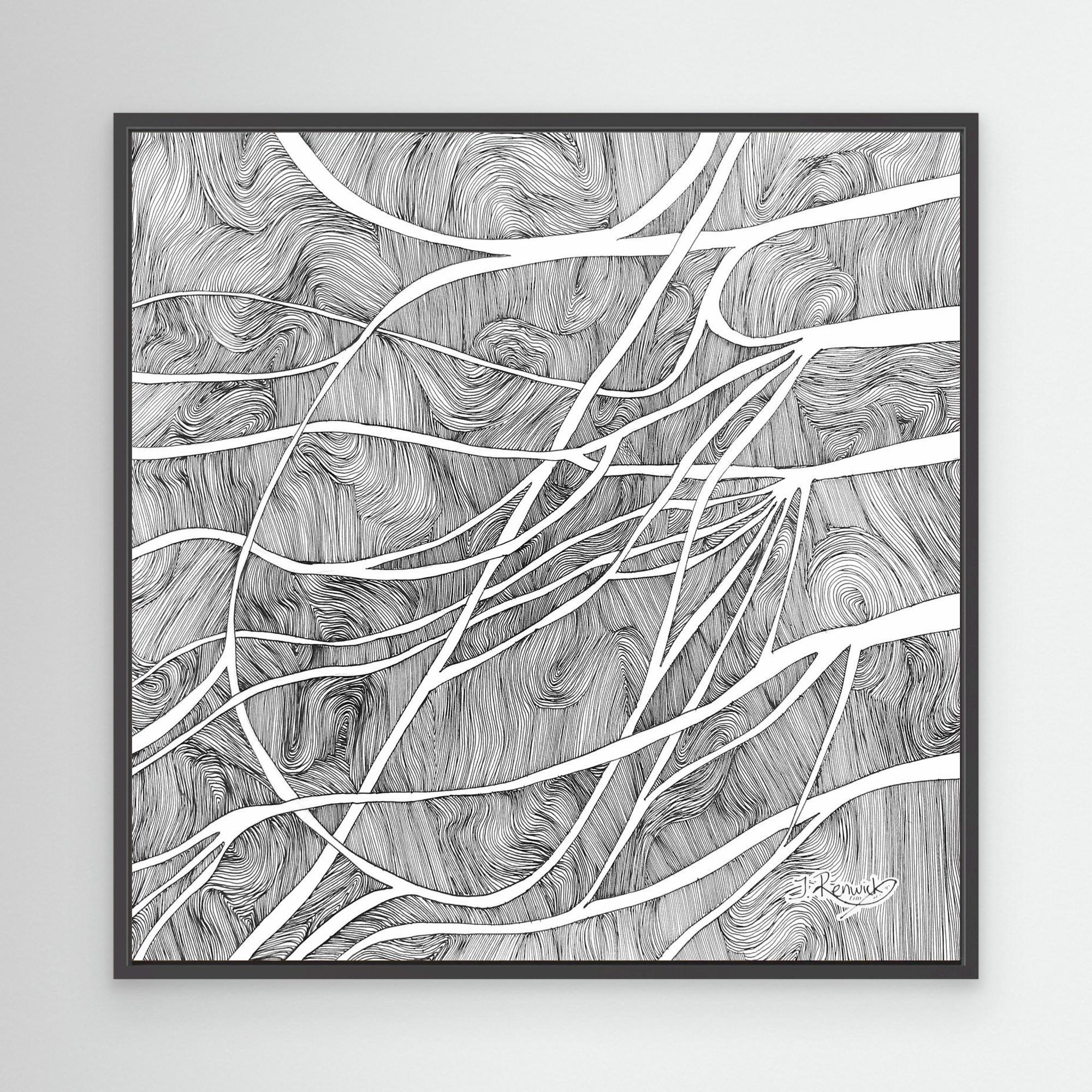 Cervical plexus