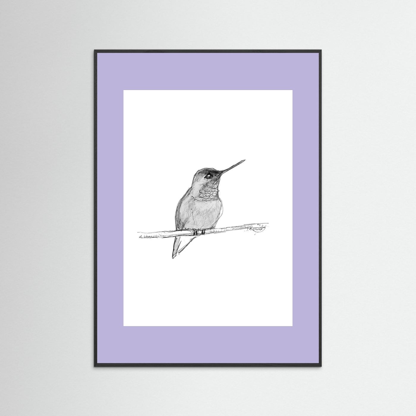 Hummingbird - no. 594