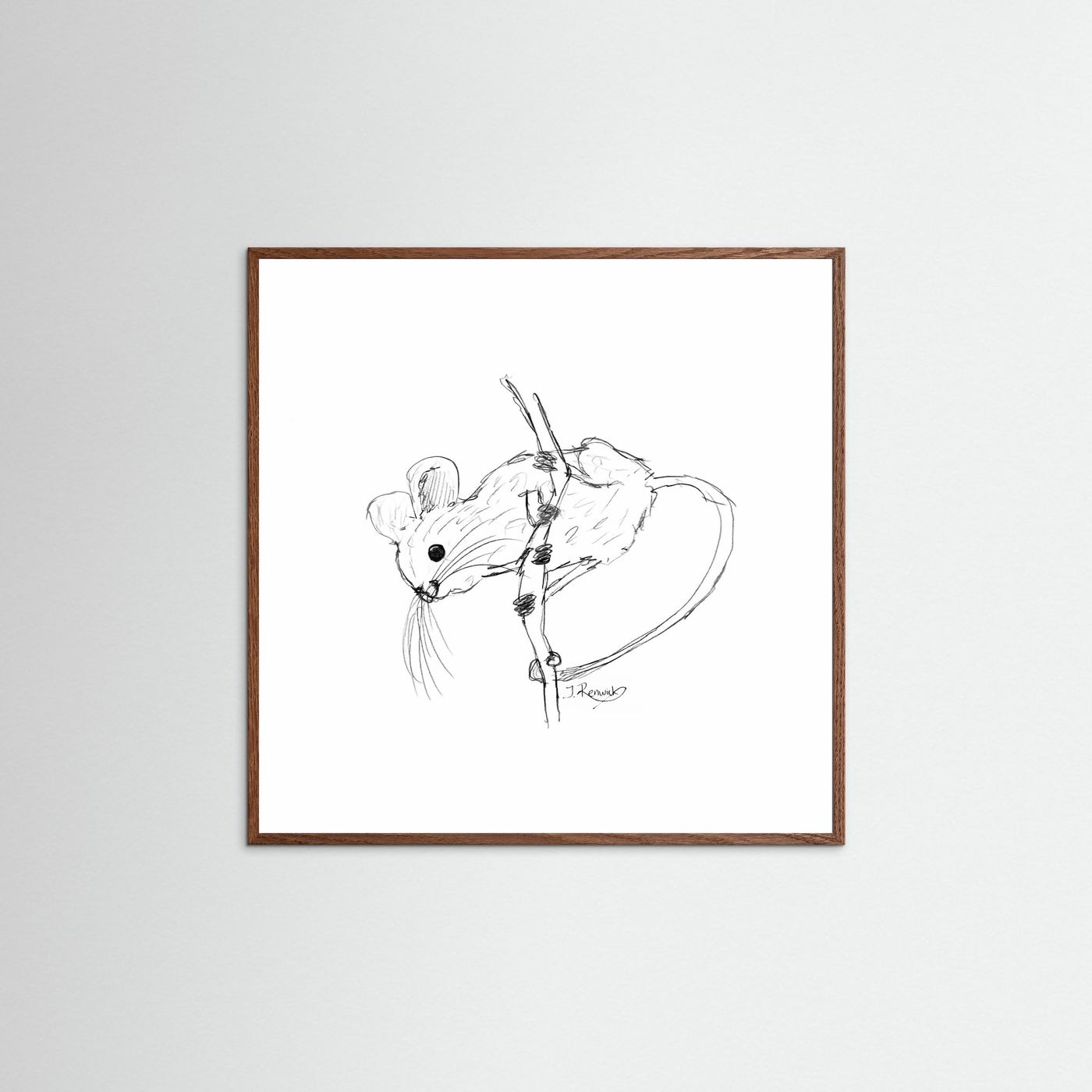 Harvest mouse - no. 213