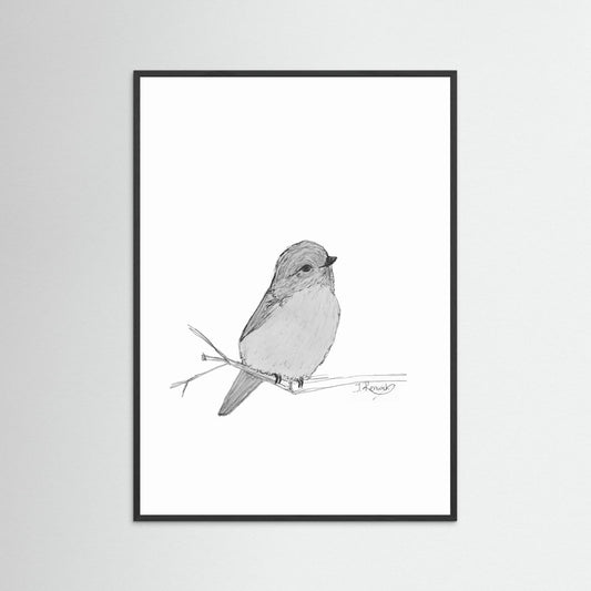 Weebill - no. 412