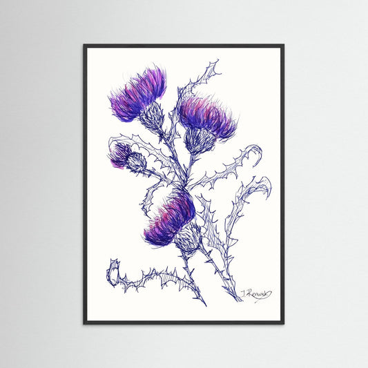 Thistles - no. 647