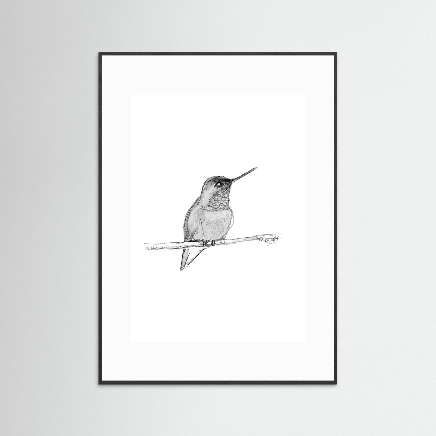 Hummingbird - no. 594