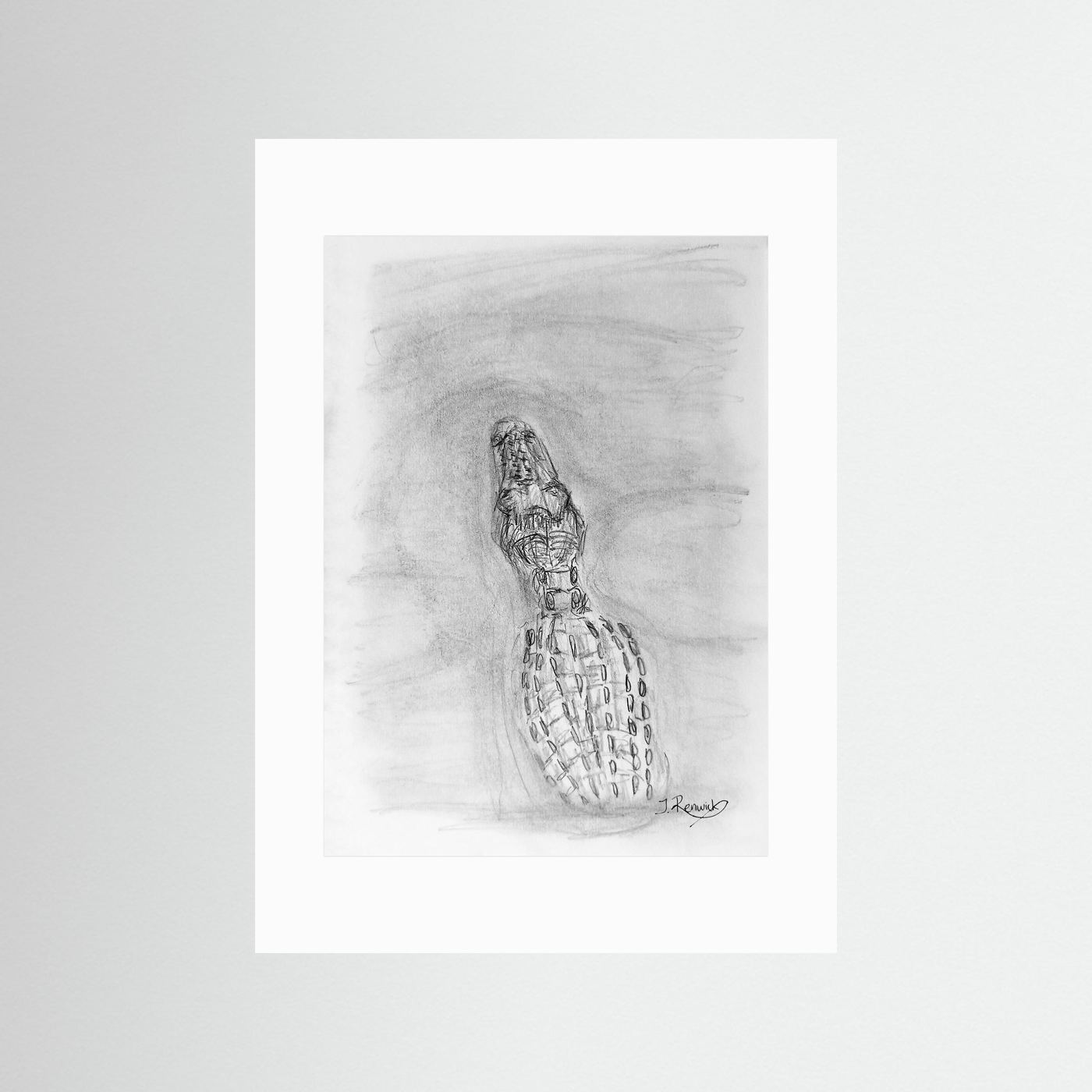 Saltwater crocodile - no. 610