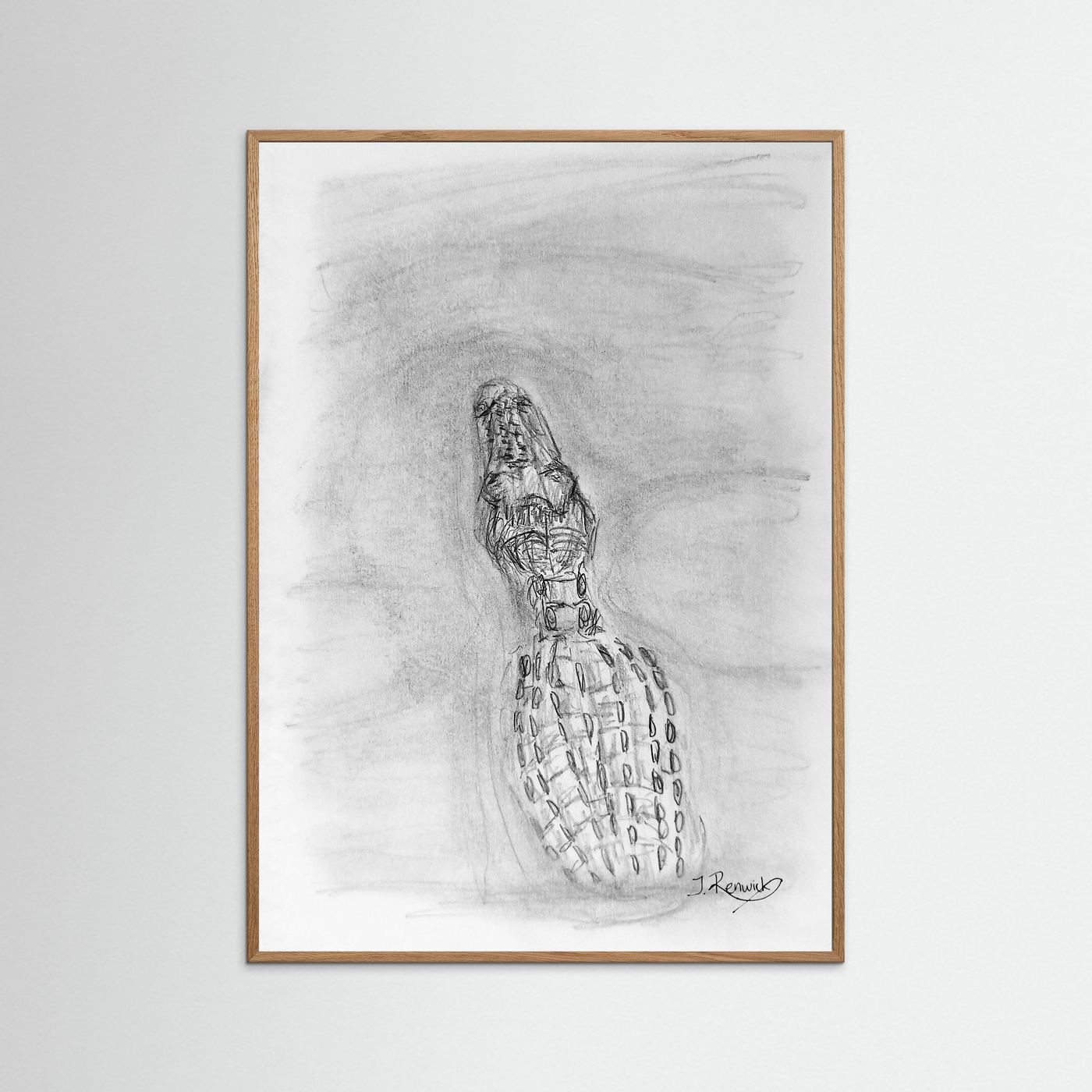 Saltwater crocodile - no. 610