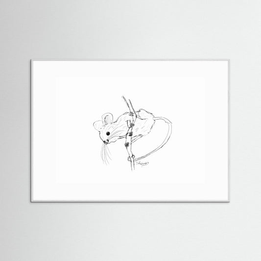 Harvest Mouse - no. 213
