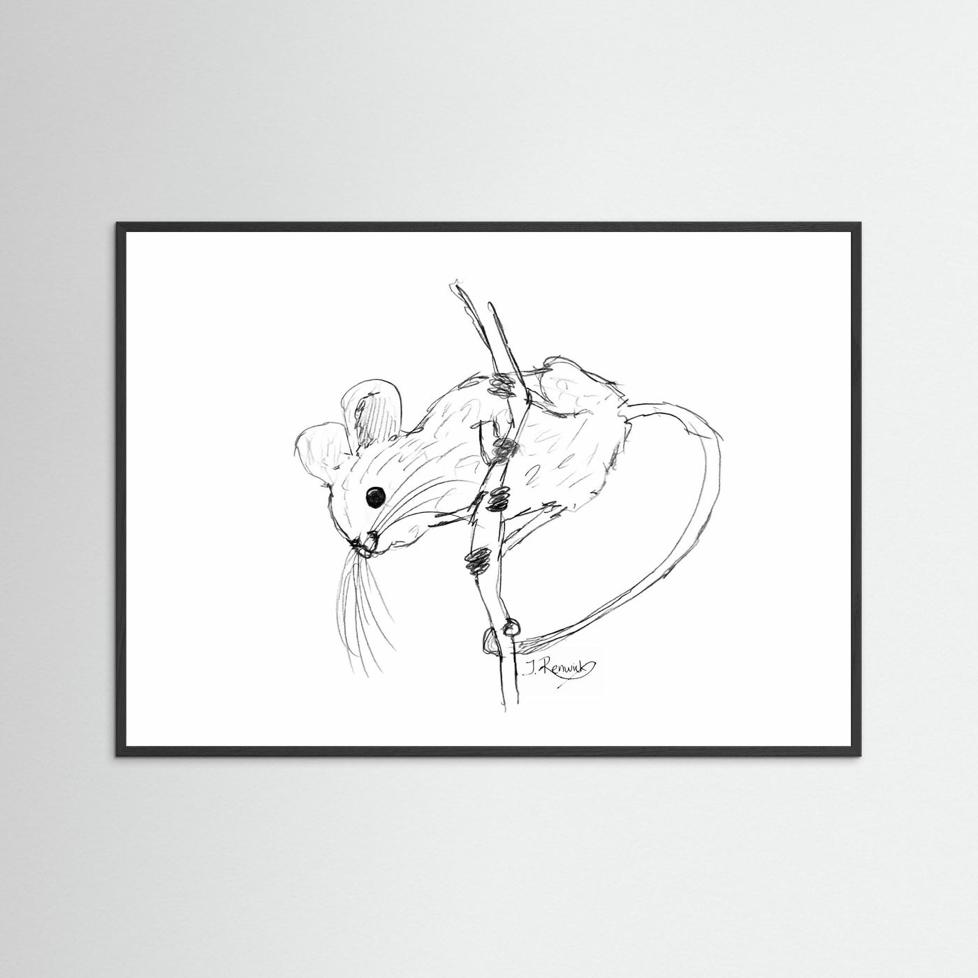 Harvest mouse - no. 213