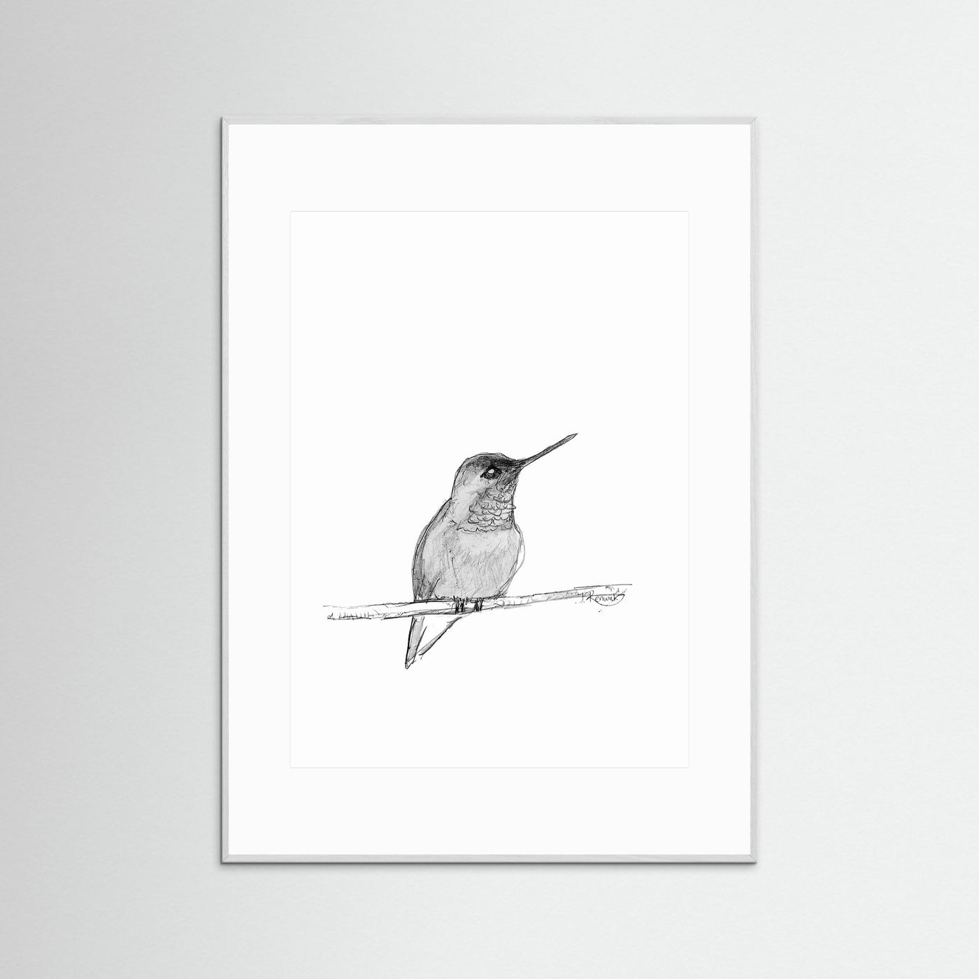 Hummingbird - no. 594