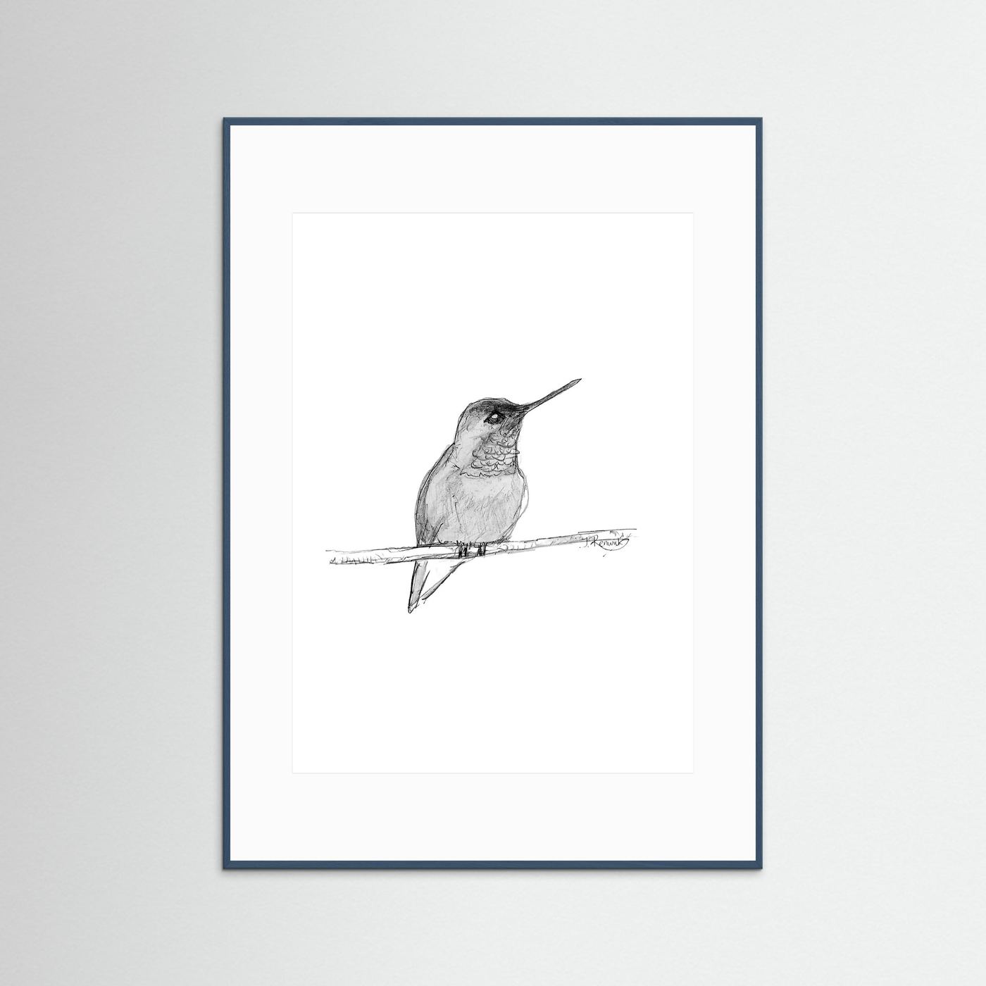 Hummingbird - no. 594