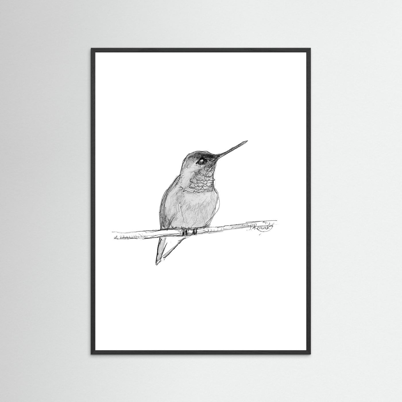 Hummingbird - no. 594