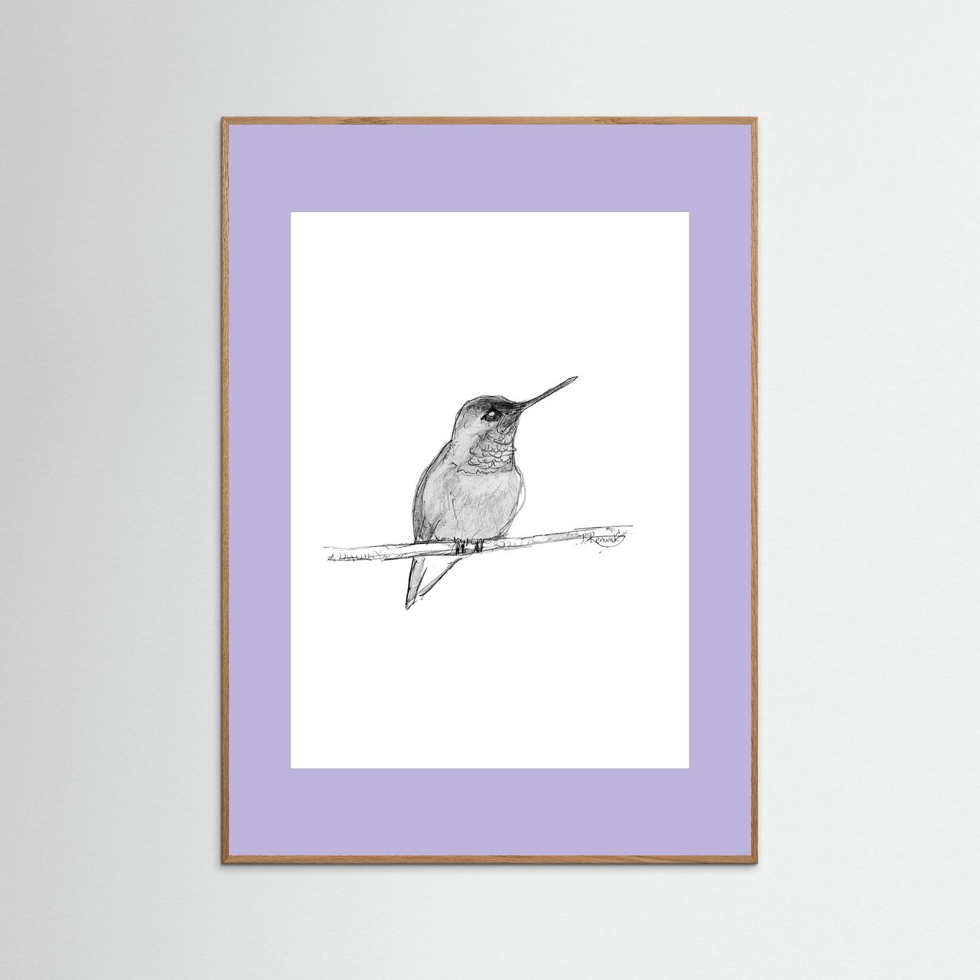 Hummingbird - no. 594