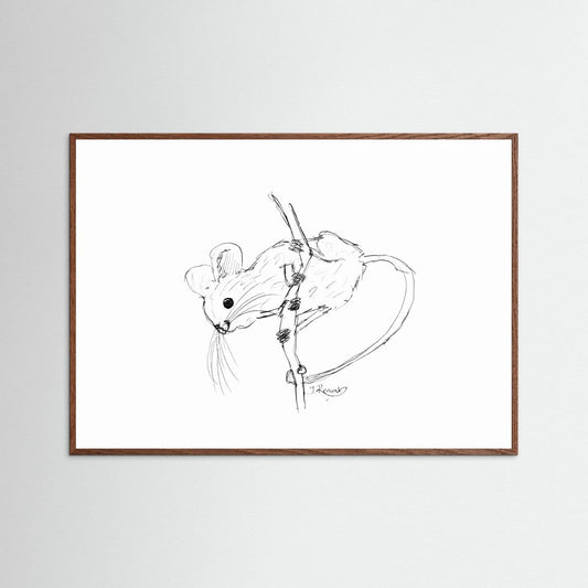 Harvest Mouse - no. 213
