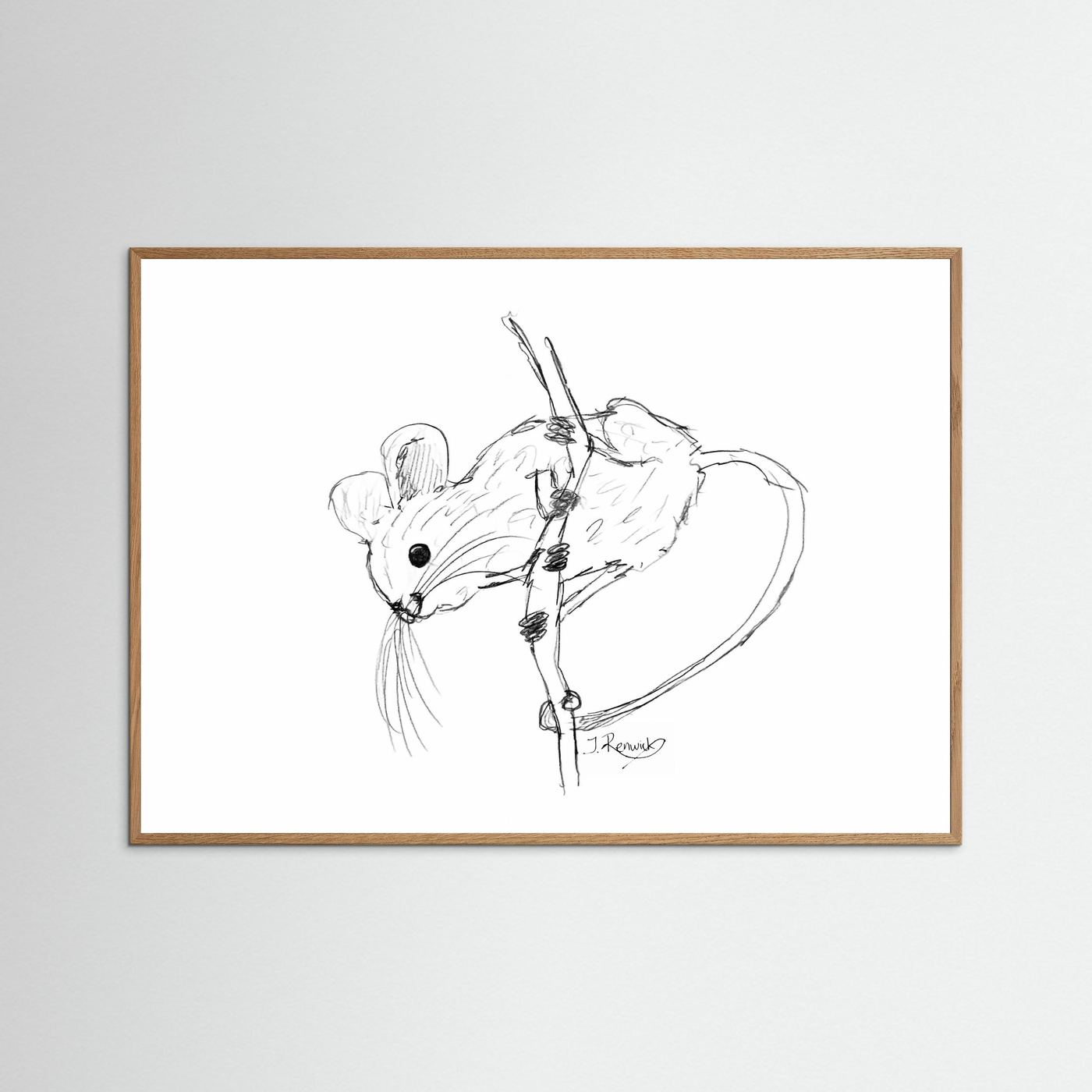 Harvest mouse - no. 213