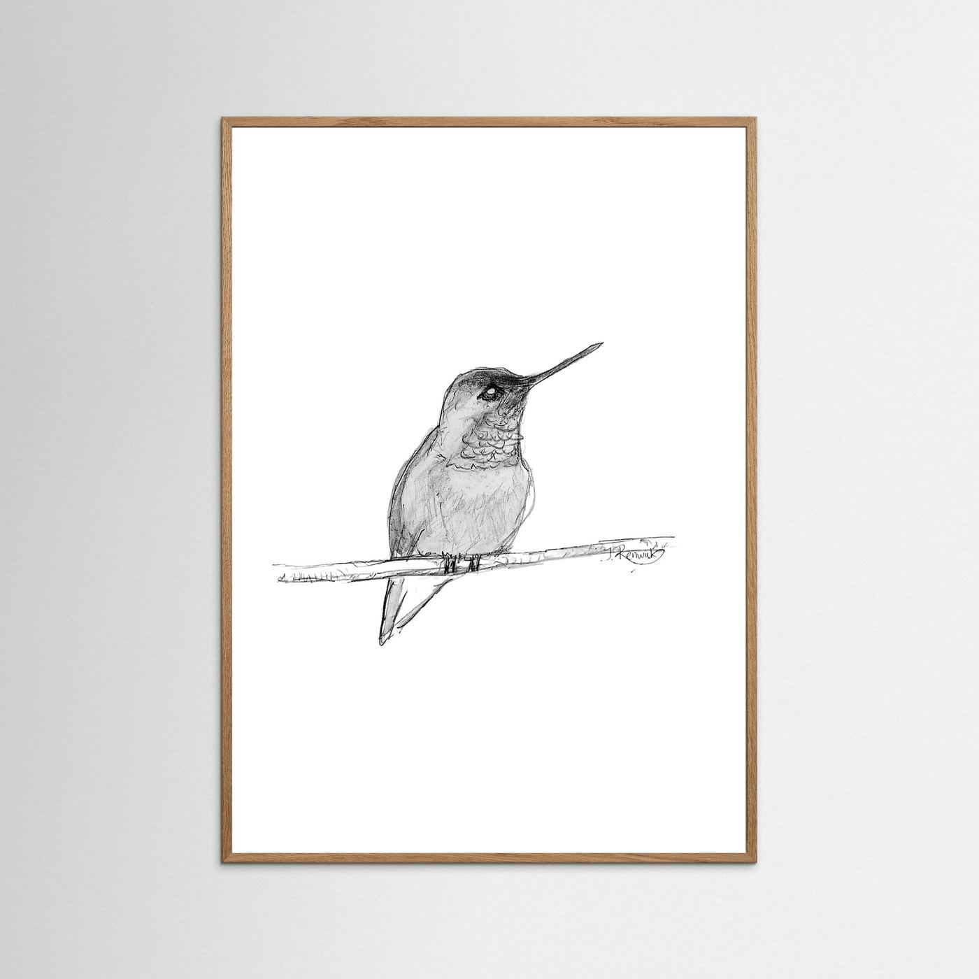 Hummingbird - no. 594