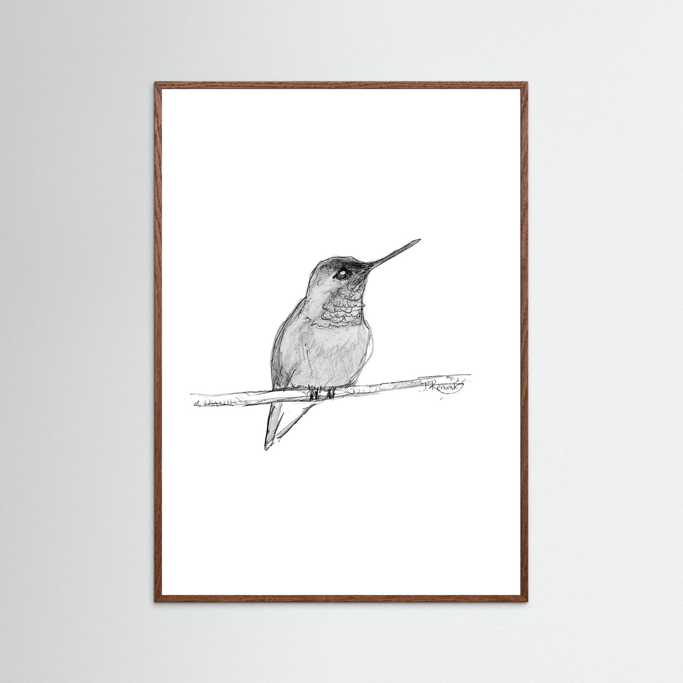 Hummingbird - no. 594