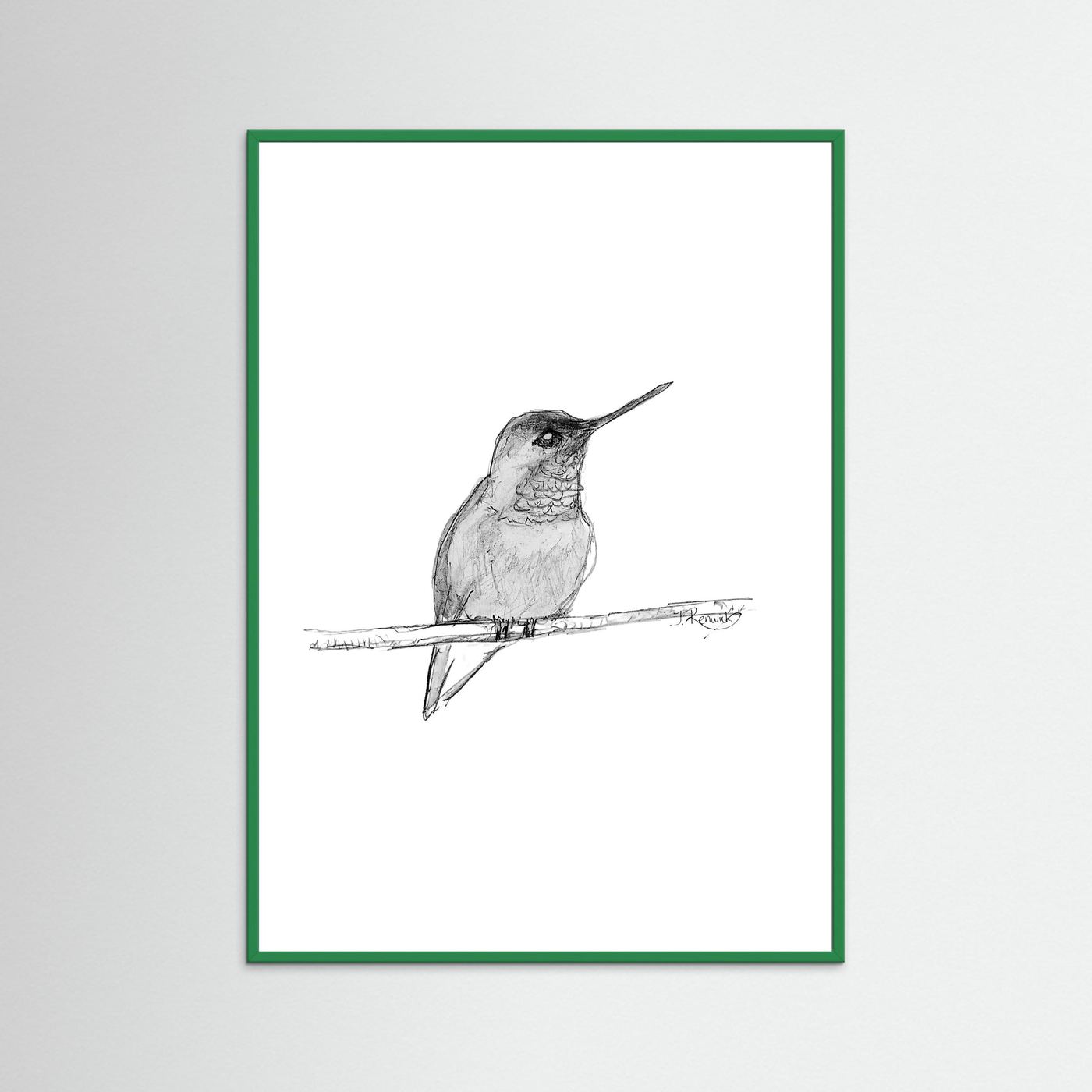 Hummingbird - no. 594