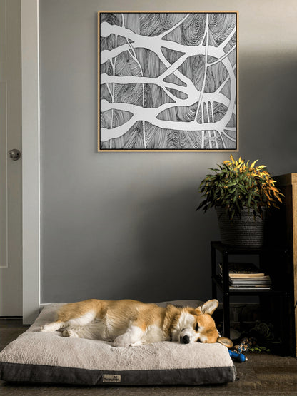 Canvas Print: Brachial Plexus