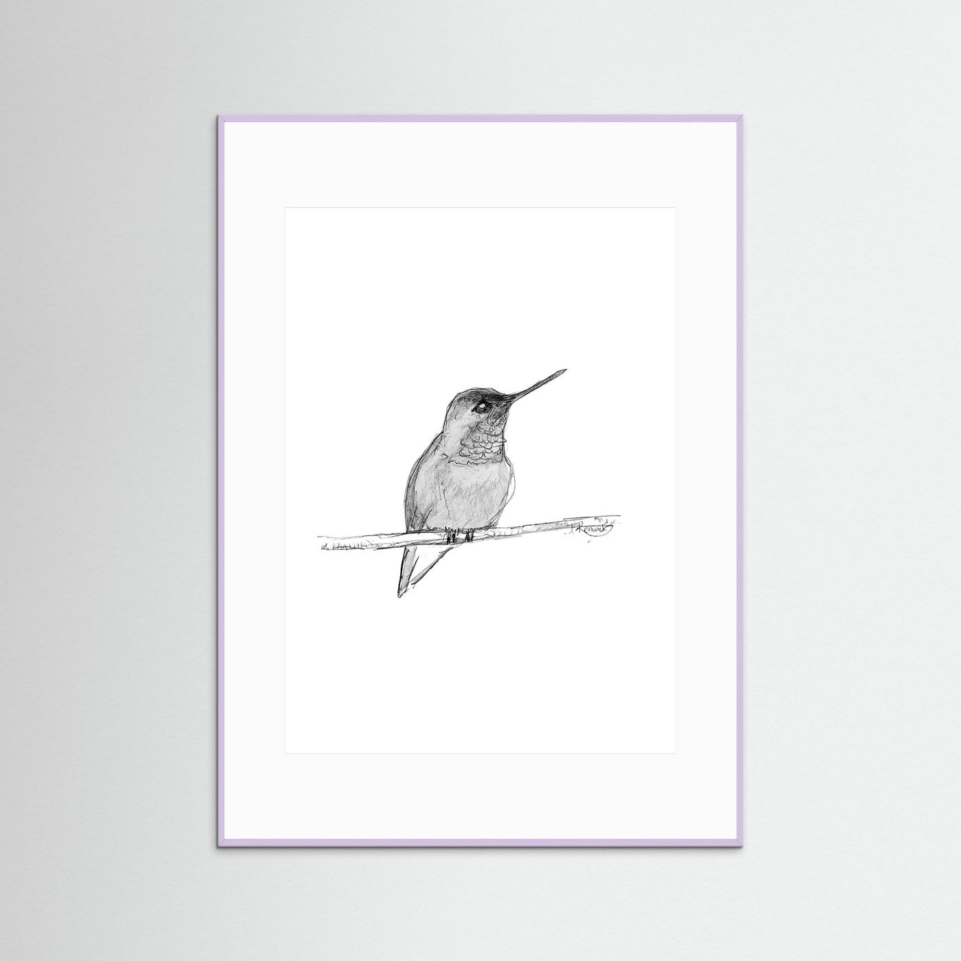 Hummingbird - no. 594