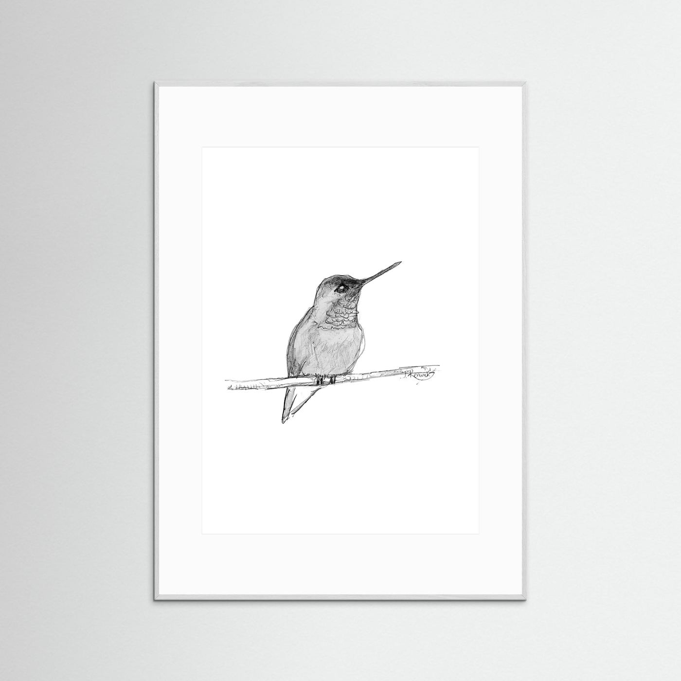 Hummingbird - no. 594