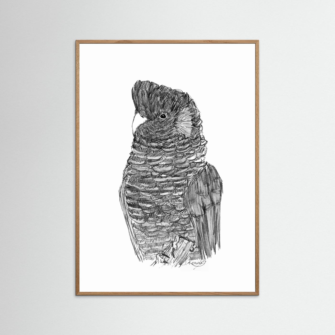 Yellow-tailed Black Cockatoo - no. 229