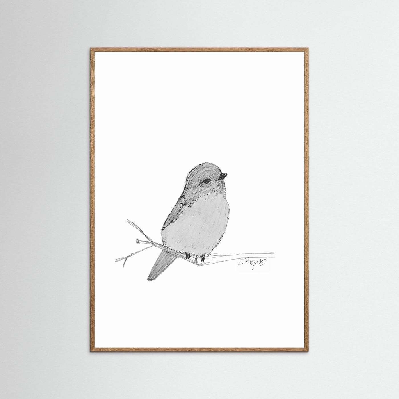 Weebill - no. 412