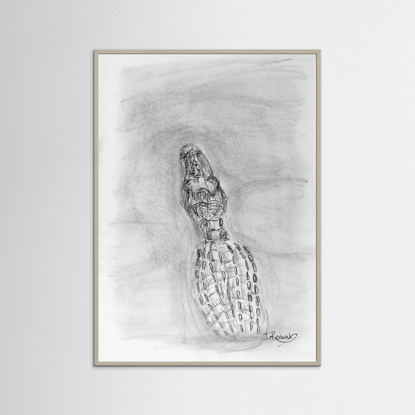 Saltwater crocodile - no. 610