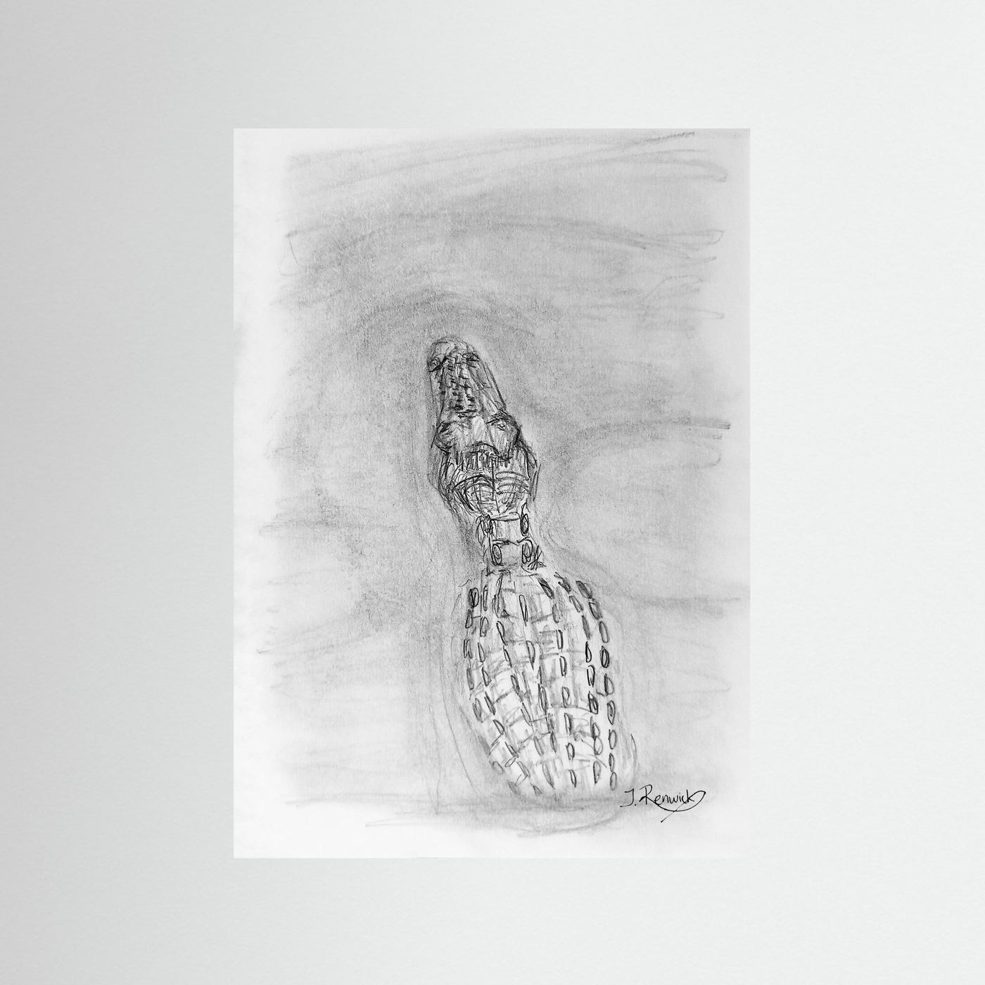 Saltwater Crocodile - no. 610