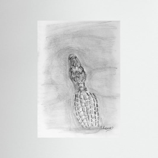 Saltwater Crocodile - no. 610