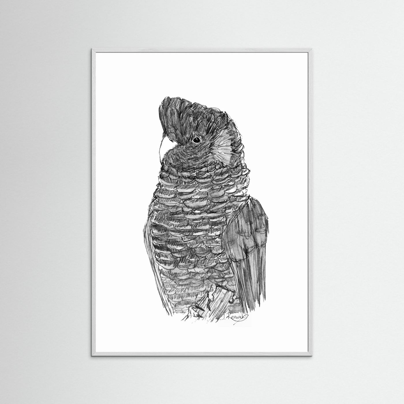Yellow-tailed Black Cockatoo - no. 229