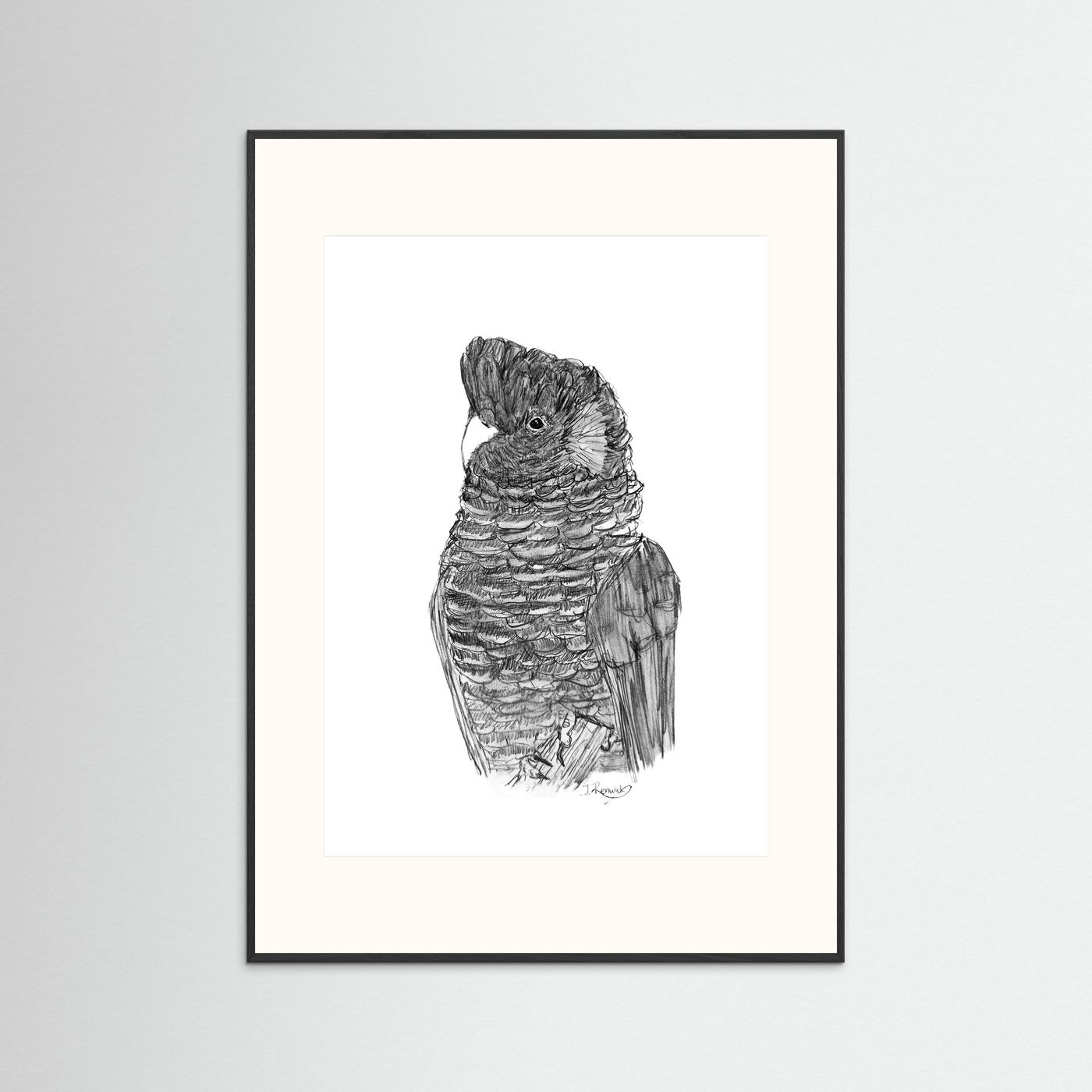 Yellow-tailed Black Cockatoo - no. 229 [A4/letter sizes] 
