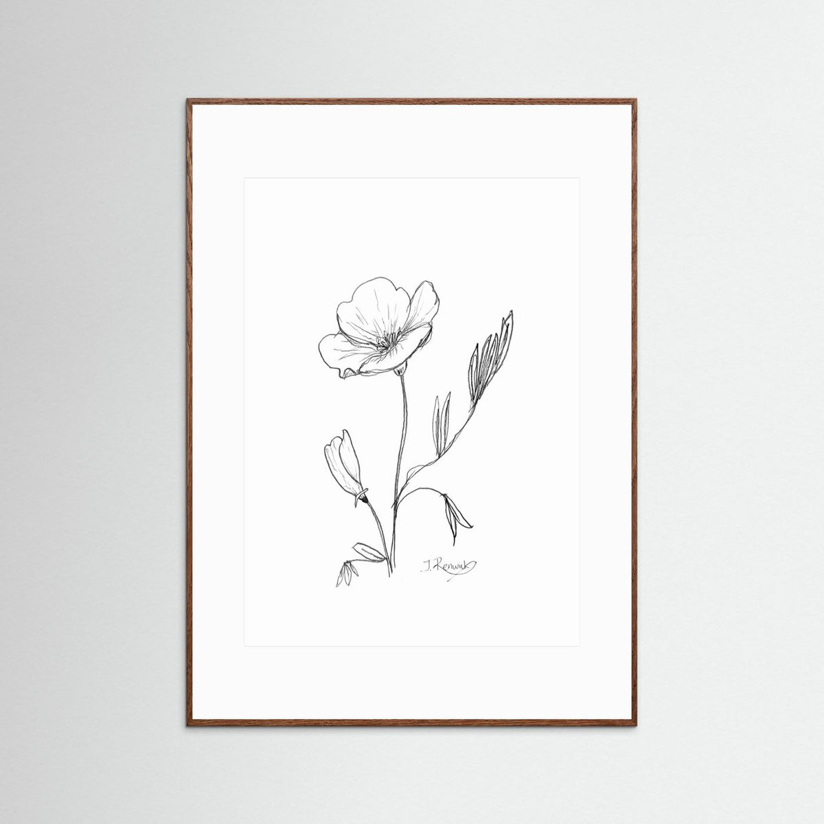 California Poppy - no. 794