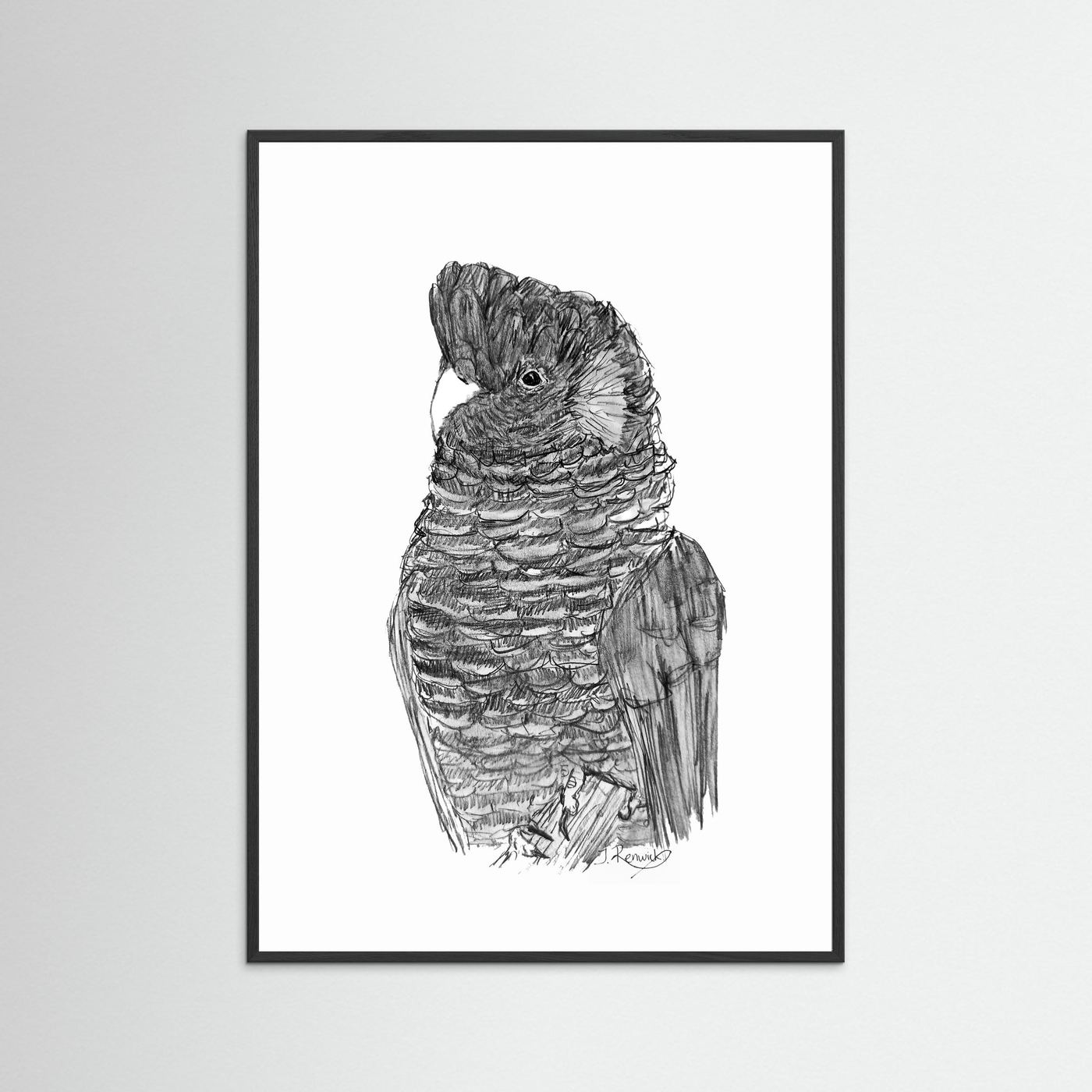 Yellow-tailed Black Cockatoo - no. 229