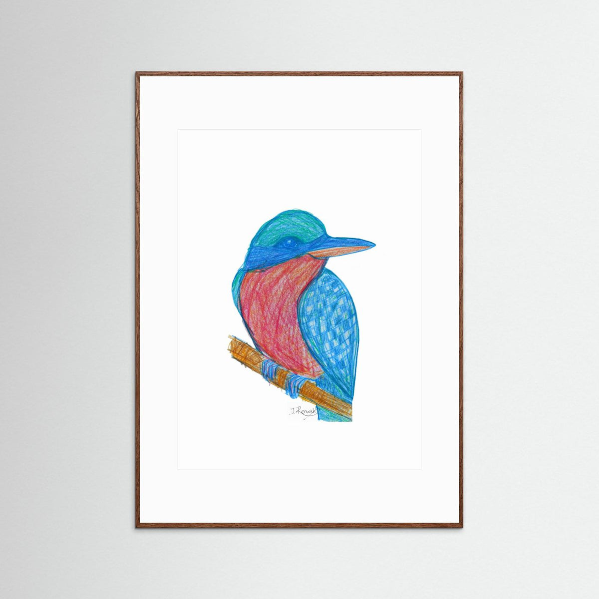 Illustrated Kookaburra - no. 784