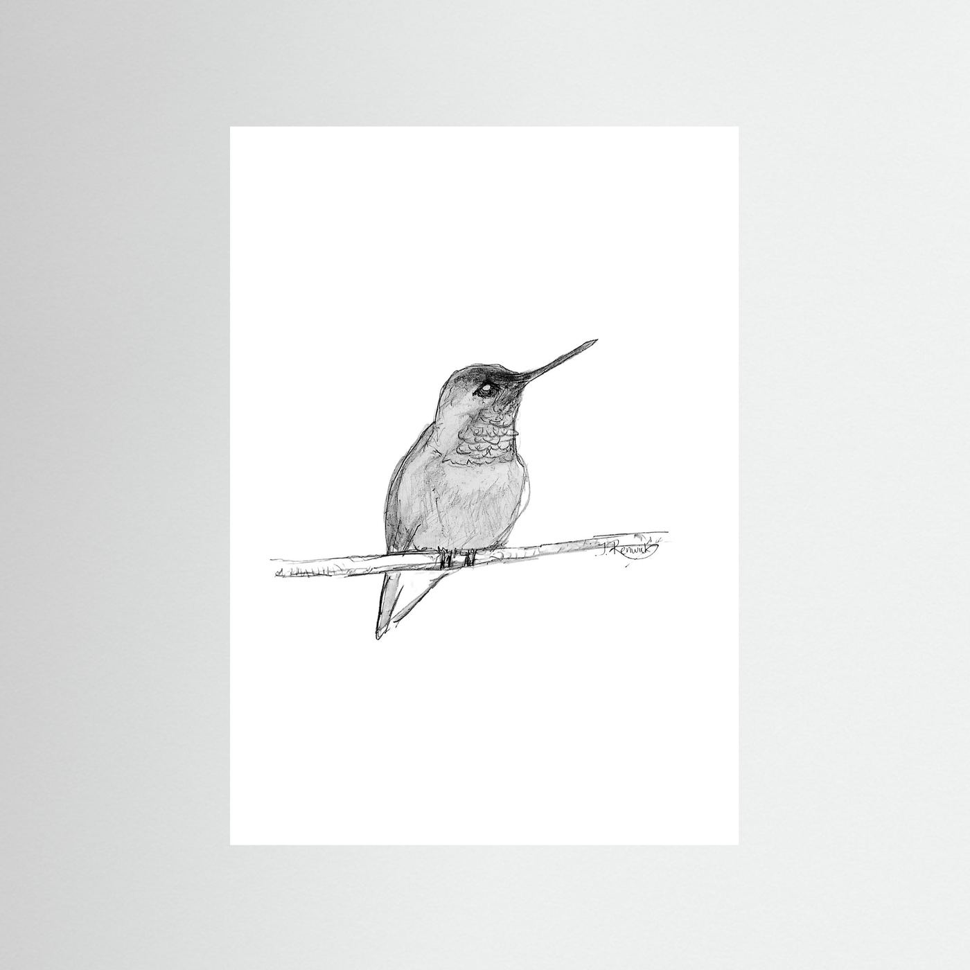 Hummingbird - no. 594
