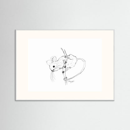 Harvest Mouse - no. 213