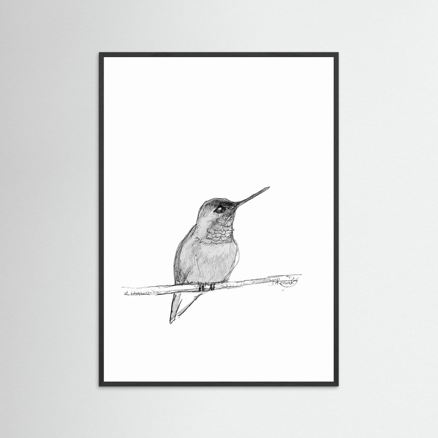 Hummingbird - no. 594