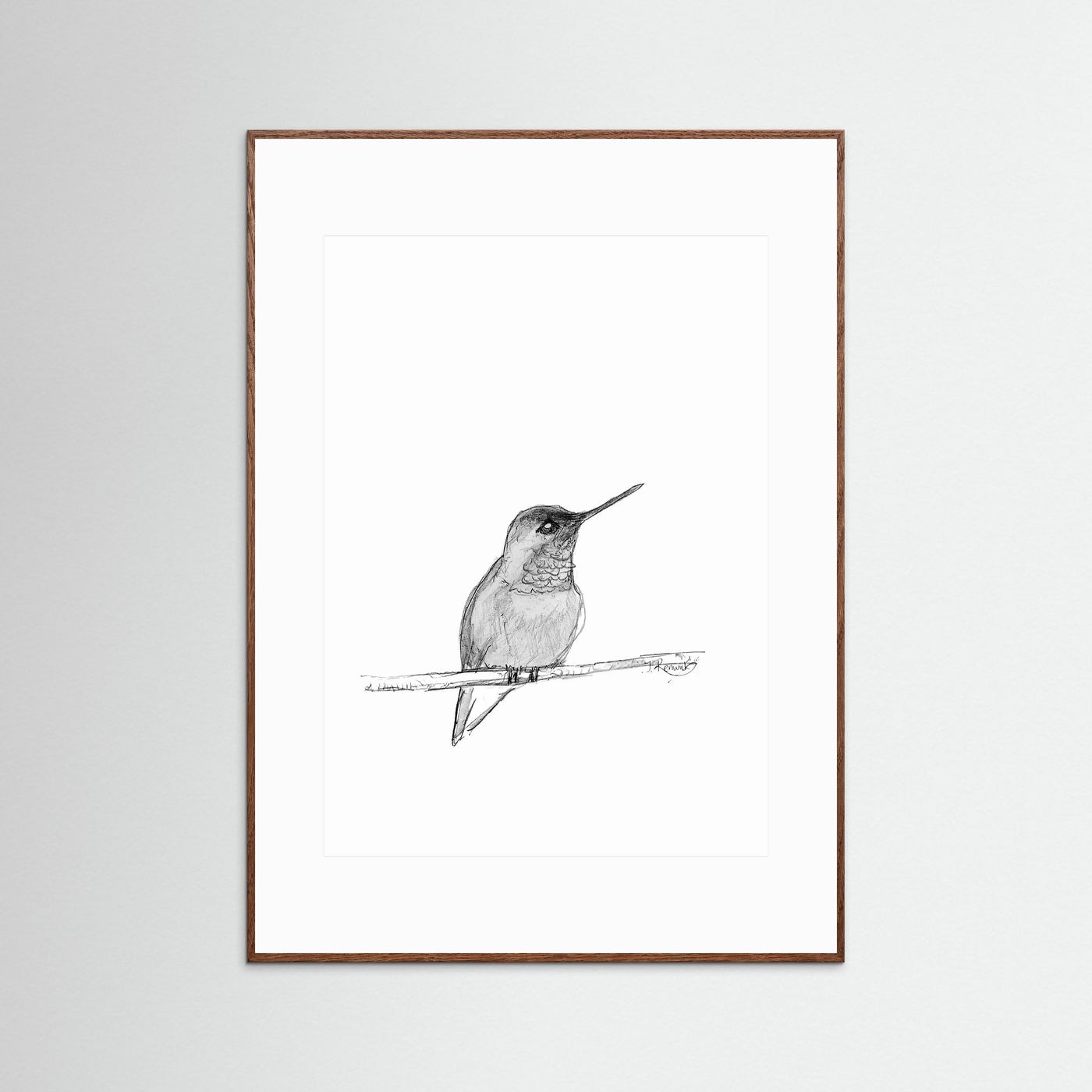 Hummingbird - no. 594