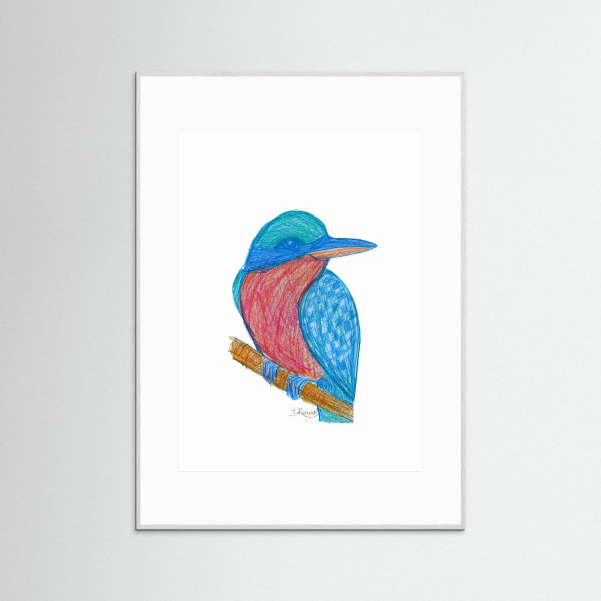 Illustrated Kookaburra - no. 784