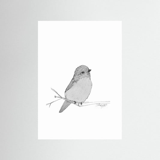 Weebill - no. 412