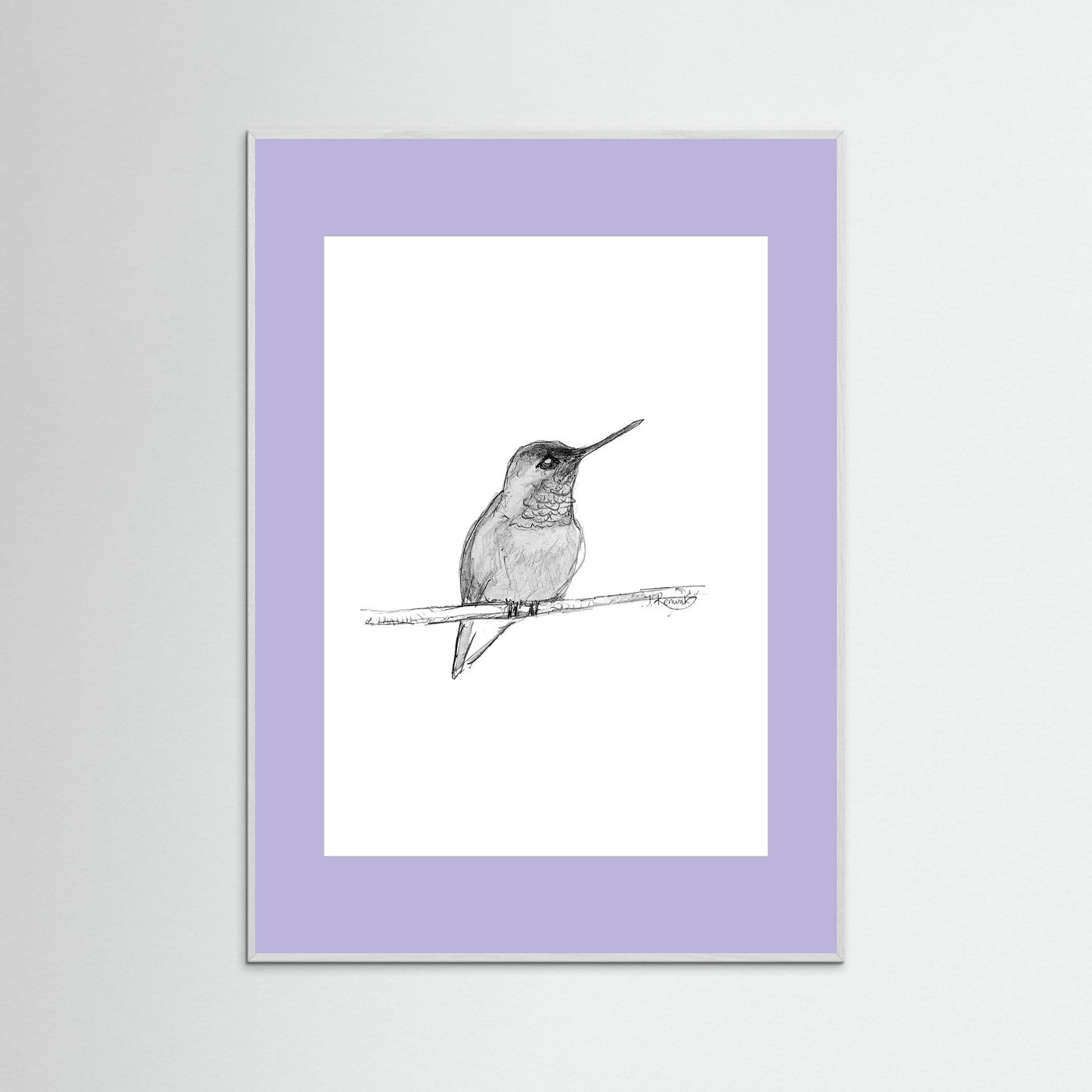 Hummingbird - no. 594