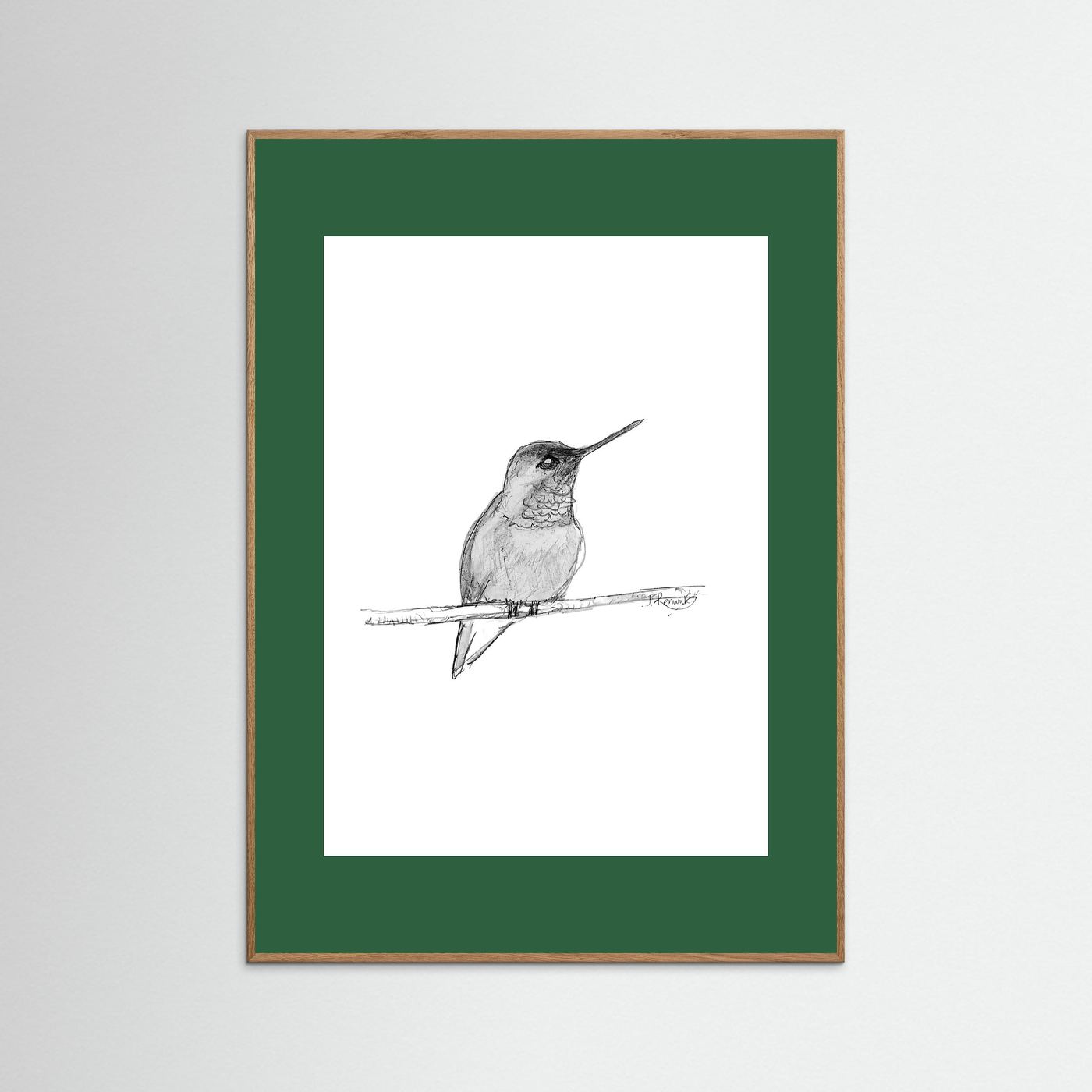 Hummingbird - no. 594