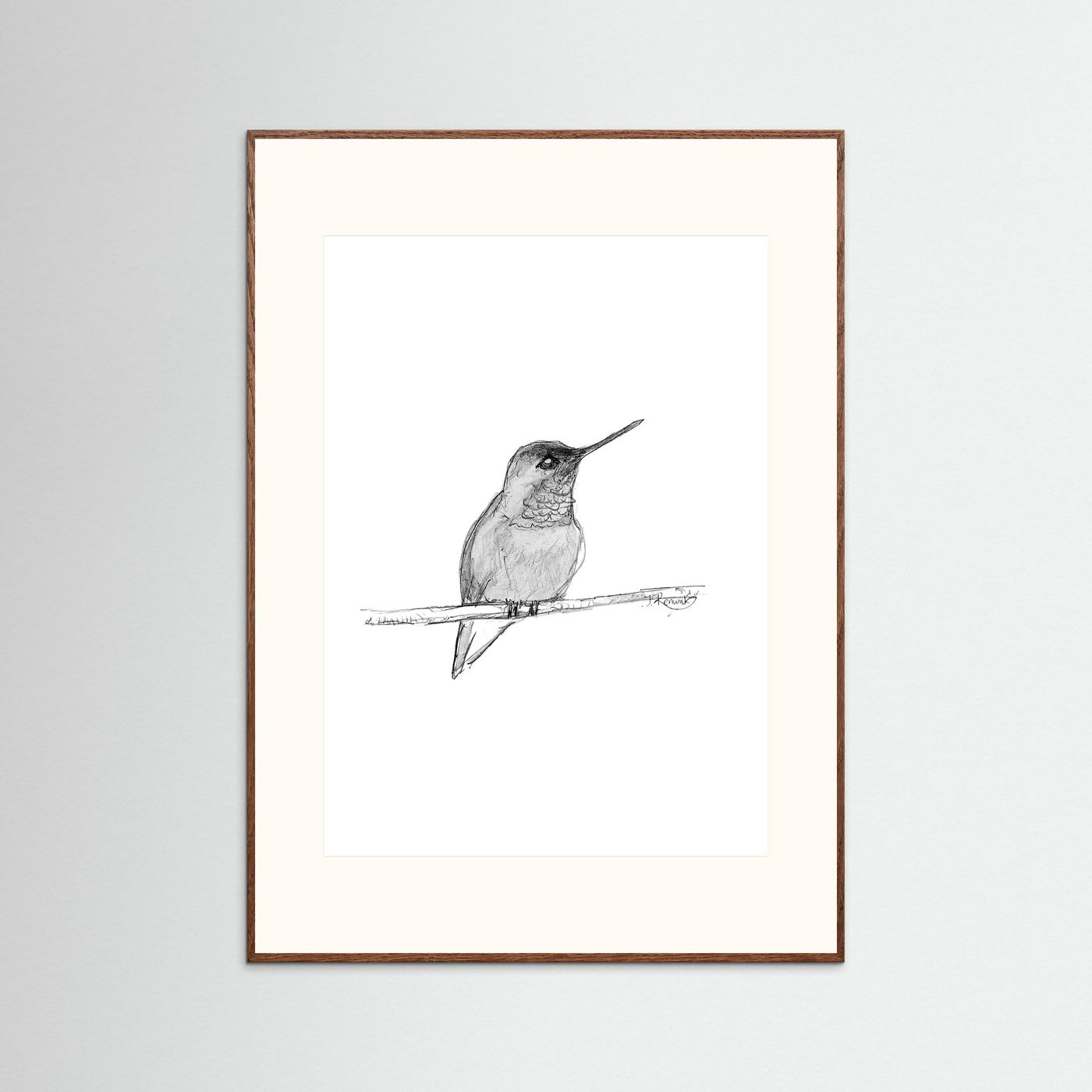 Hummingbird - no. 594