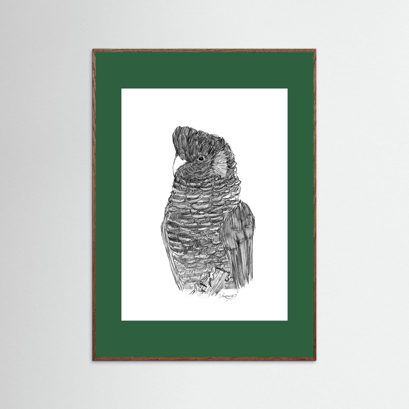 Yellow-tailed Black Cockatoo - no. 229 [A4/letter sizes] 