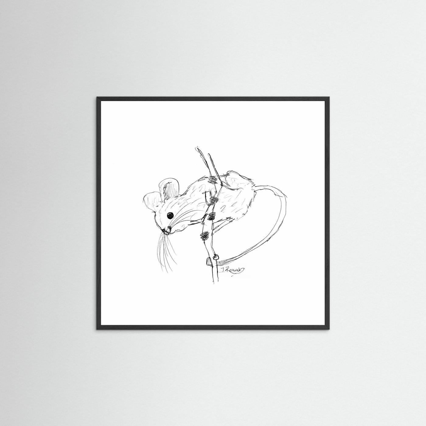Harvest mouse - no. 213
