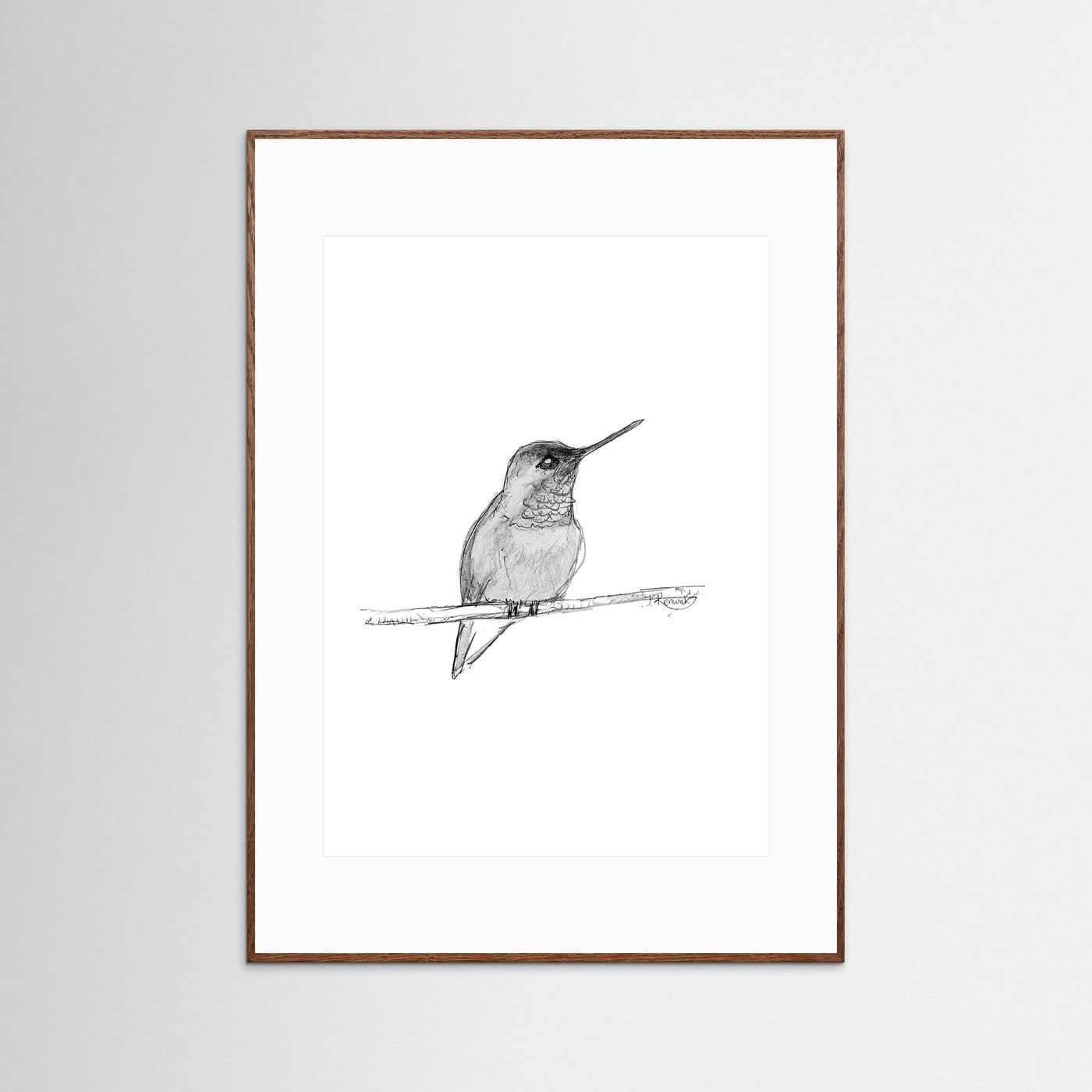 Hummingbird - no. 594