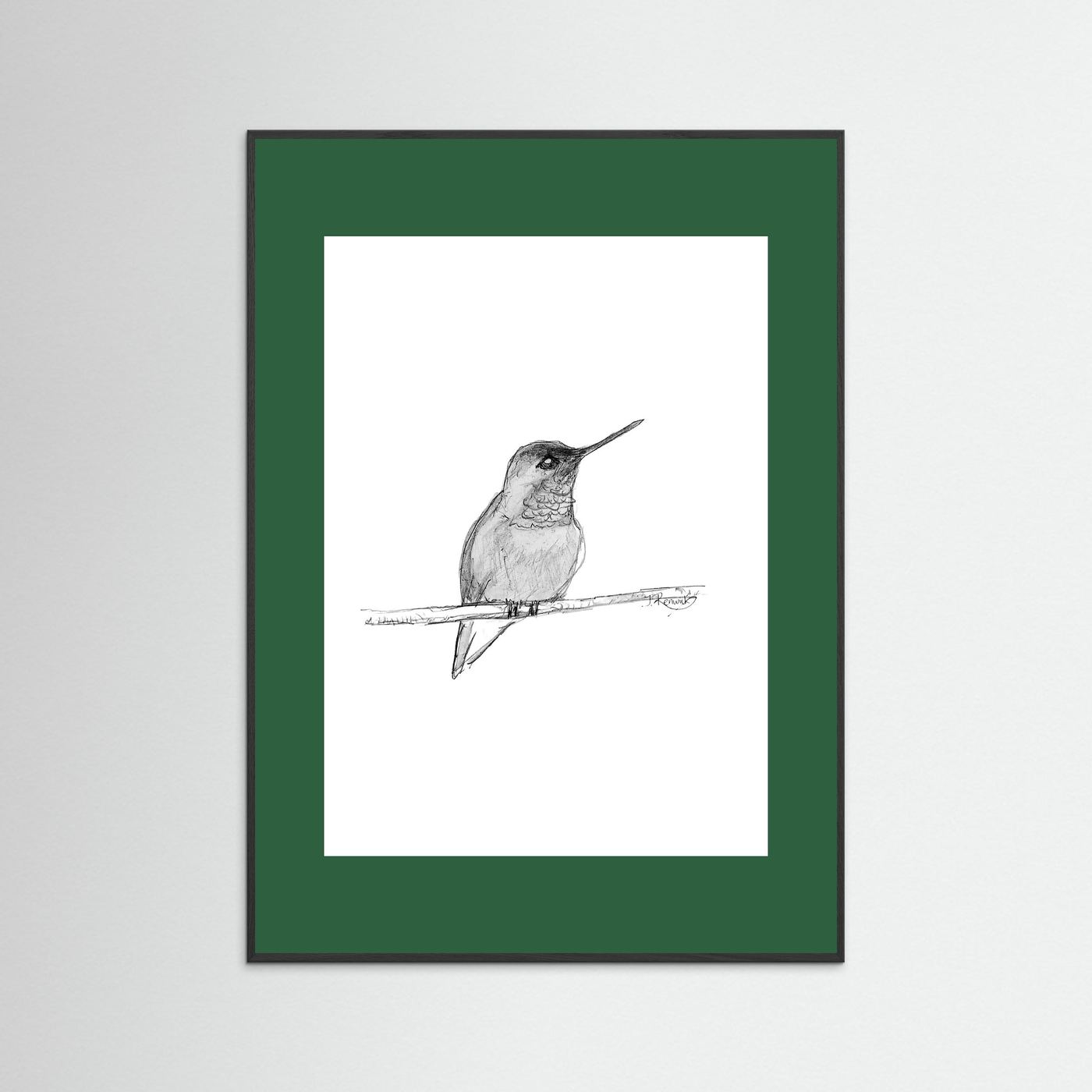 Hummingbird - no. 594