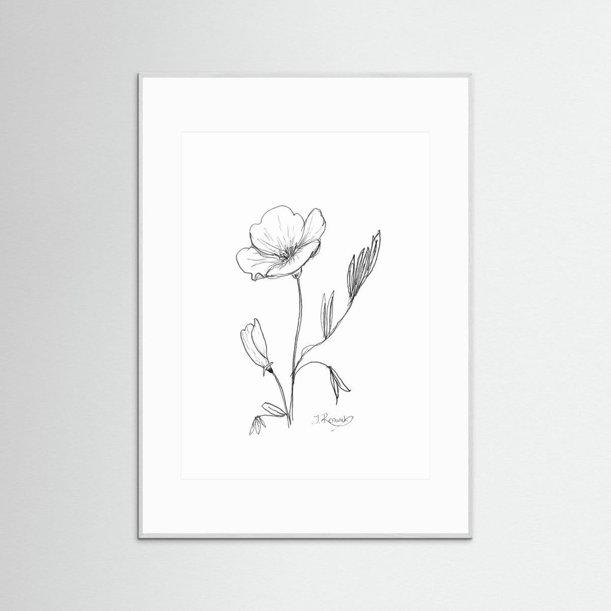 California Poppy - no. 794