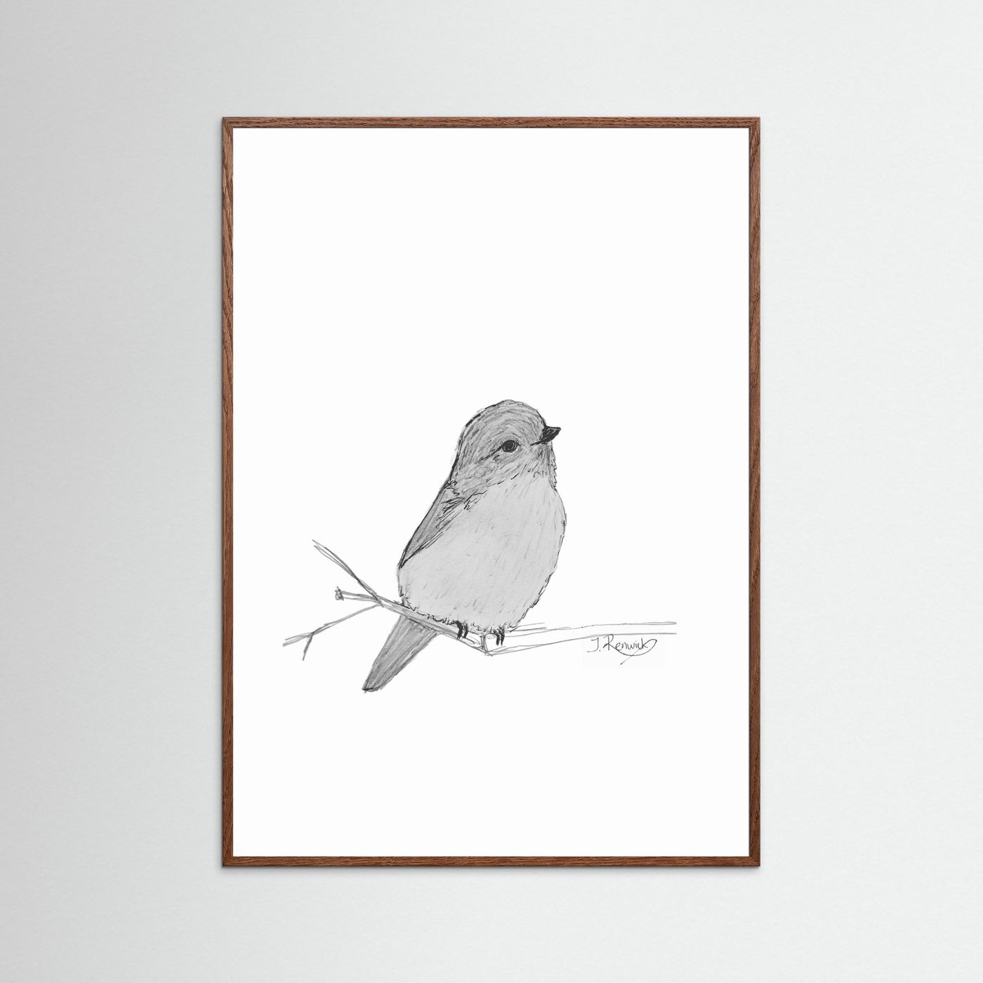 Weebill - no. 412