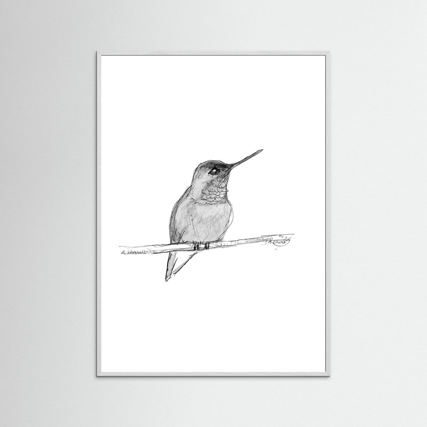 Hummingbird - no. 594