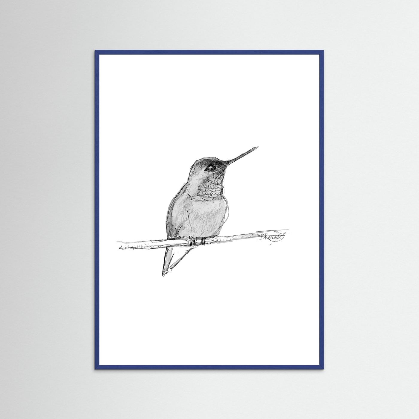 Hummingbird - no. 594