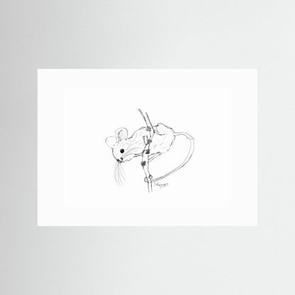 Harvest Mouse - no. 213
